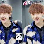 한결같은 멍뭉이 백현이