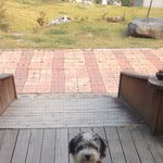 [만득써니] 다릿골삽살개 만득써니메리쩜봉이의 가을에피소드2