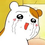오늘 학교에서 남자애들때문에 울었어 ㅠㅜㅜㅜㅠㅠㅜㅠ