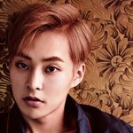 [시우민] 근데 싱글즈 시우민 진짜 유럽고성에 사는 왕댜<b>님</b> 같 Iㅅㅇ 