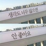 [드루와] 이건 <b>햄</b>이야 너를 <b>사랑햄</b>