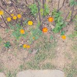 좋은 주말 보내요오오오오