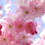 [드루와] 남들 잘 모르는 좋은 노래 적고가!!