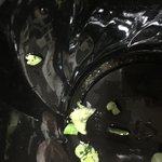 <b>Bhc</b>치킨 요레요레 어린잎채소 안씻나봄