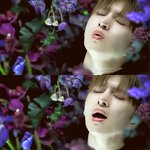 [댓글부탁해] 빅스미친거아니야??