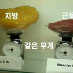 디톡스 다이어트