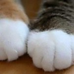 [EXO] <b>sunday</b> 아이스크림