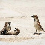 [유머북] 여보 나왔어 ㅡ.ㅡ:: 