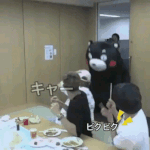 [방탄소년단] <b>쿠마</b>몬을 본 슈가의 반응ㅇ래ㅋㅋ