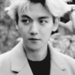 [팬픽] ㅅㄷ)다1각)풍들이 조화하는 삼각형이 뭐야?