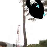 [방탄소년단] 빠람빰빠밤 이번 뷔앱ㅋㅋㅋㅋㅋㅋㅋ