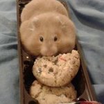 [댓글부탁해] 너네 한아름송이<b>야상</b> 왤케싫어함?