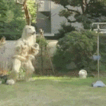 [방탄소년단] 나 지금 똑같은 사진이 몇 장인지 모르겠다