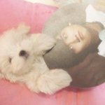 [댓글부탁해] 최강창민 강아지 개<b>졸</b><b>귀</b>ㅠㅠㅠ
