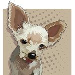 [꽁프로젝트] [꽁이프로젝트]진행중진행중5