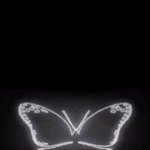 [방탄소년단] Papillon(나비) = <b>Butterfly</b>(나비)