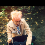 [방탄소년단] 으어 또 떠올랐어(궁예)