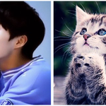 [시우민] 귀여운 시우민 소<b>동물</b>짤이 왔어요~~!!