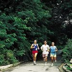 [건강] ** ‘<b>야외활동</b>’ 전 알아야 할 ‘근육통’ 이야기 **