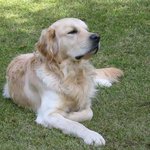 [EXO] 백까 내새끼 광견병<b>주사</b> 더 맞자