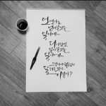 <b>캘리</b>그라피 독학