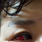 [꼭조언부탁] 옆집 개3마리 때문에 잠을 못<b>자서</b> 스트레스 받아요...