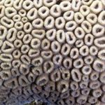 [EXO] 환공포증중에 젤 <b>무난</b>한거고른거야