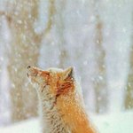 [동성] (동성)철부지 31