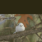 [방탄소년단] 아웃트로 House <b>of</b> cards 원곡을 이제야...