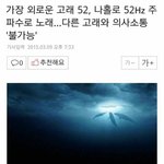 [방탄소년단] whalien 52 그 고래 얘기 빼박인 것 같아