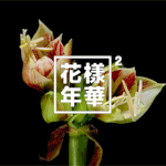 [방탄소년단] <b>초등</b>학생 아미