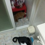 [언제나함께] <b>뜬금</b>이 소식입니다. (아, 뻔순이 소식이여)