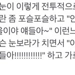 [댓글부탁해] 오늘 <b>첫눈</b>온거 공감ㅋㅋㅋㅋ