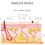 / 블랙비 / 박진만 / 건강<b>fm</b> / 칼럼니스트 / 트레이너 /...