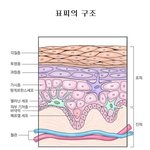 [건강] ** 지성? 건성? ‘피부타입’이 궁금하다!  내 피부...