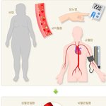 [건강] ** ‘<b>대사</b>증후군’ 진단하기 일찍 발견해야 빨리 고친다**