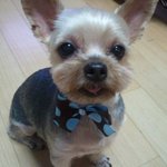 [꼭봐주세요] 또로의 실검 <b>리포트</b>~(26일 오후)