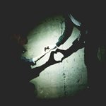 [방탄소년단] 아미들