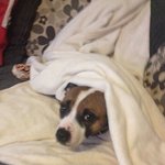 아침 <b>알람</b>이 울릴 때 우리들 모습