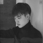 [도경수] 경수 하드파일커버 <b>스캔</b>
