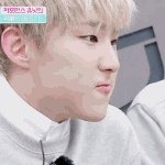 [세븐틴] 수녕이는