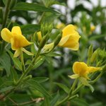 / 블랙비 / 박진만 / 건강<b>fm</b> / 칼럼니스트 / 트레이너 /...