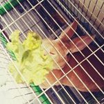 근육<b>토끼</b> 헤니를 소개합니다^^