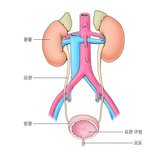 / 블랙비 / 박진만 / 건강<b>fm</b>  / 칼럼니스트 / 엉짱남 /...