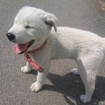 <b>응답</b>하라 시리즈볼때마다