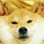 [드루와] 다들 전교1등 성격어때?