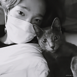 [드루와] 고양이랑 <b>케미</b>돋는 위너 남태현 