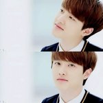 [EXO] <b>새들</b>도 아가양도