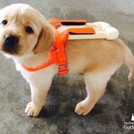 [ 달리기 효과 6가지 ]