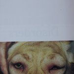 류준열 닮은 꼴
